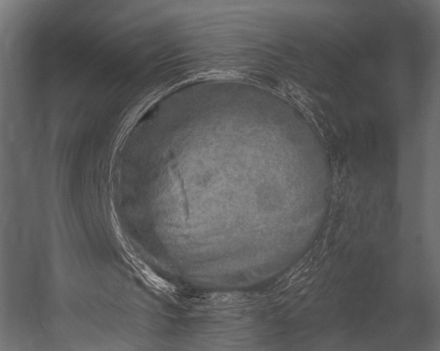 X0000054440145200508011439