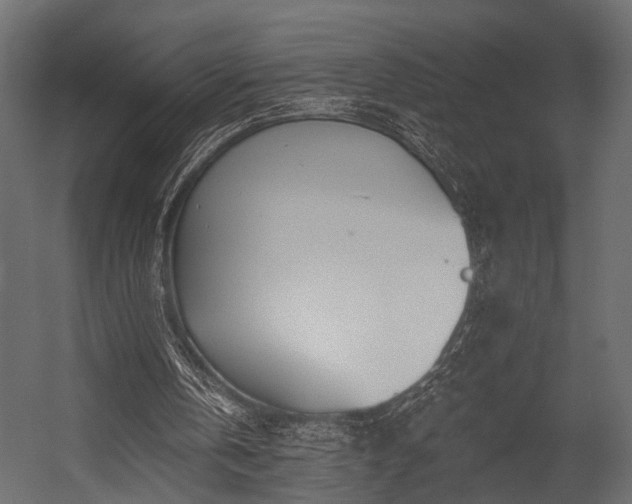 X0000054440146200508011439