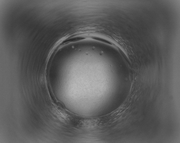 X0000054440147200508011439