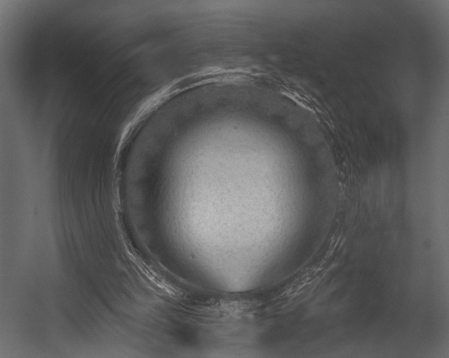 X0000054440149200508011439