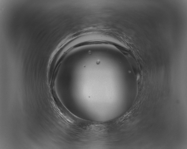 X0000054440150200508011439