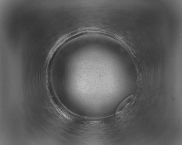 X0000054440151200508011439