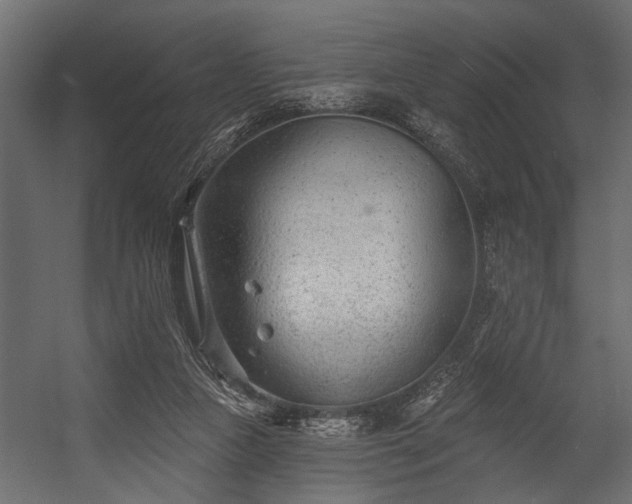 X0000054440161200508011439