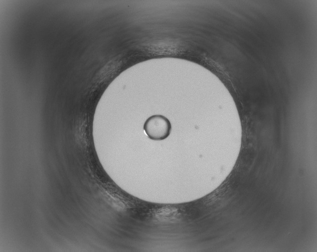 X0000054440162200508011439