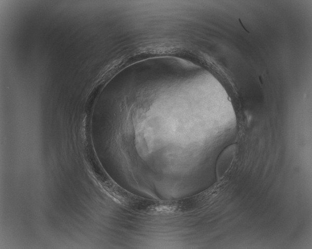 X0000054440163200508011439