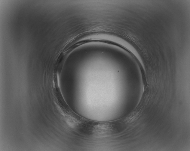 X0000054440164200508011439