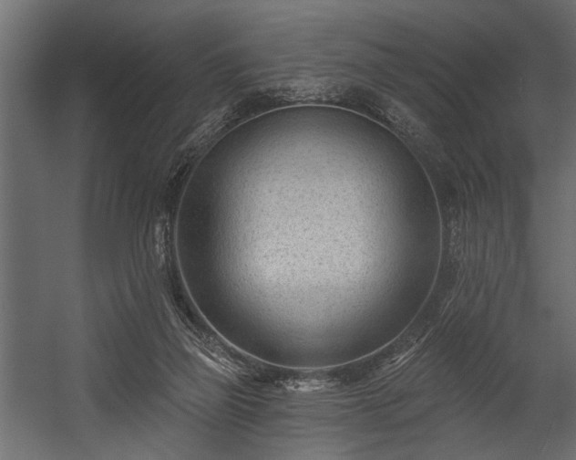 X0000054440165200508011439