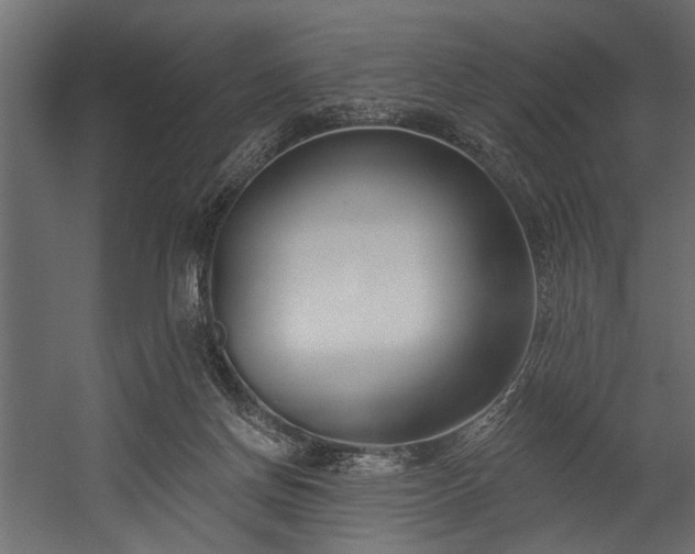 X0000054440166200508011439