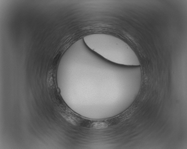 X0000054440169200508011439