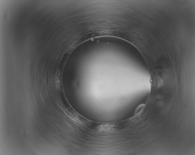 X0000054440179200508011439