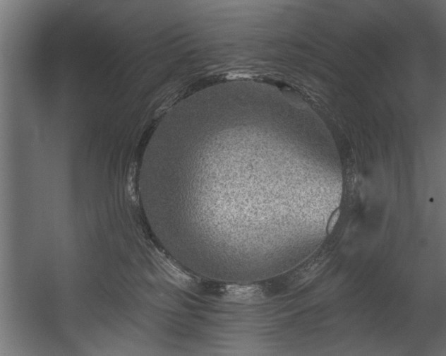 X0000054440185200508011439