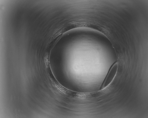 X0000054440190200508011439