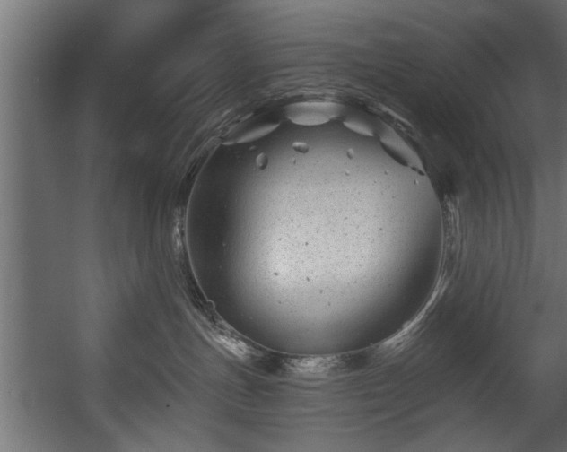 X0000054440191200508011439