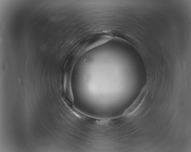 X0000054440192200508011439