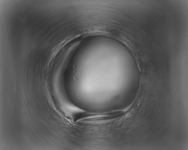 X0000054440193200508011439