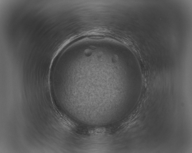 X0000054440196200508011438