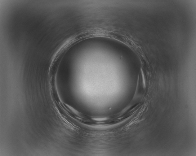 X0000054440197200508011438