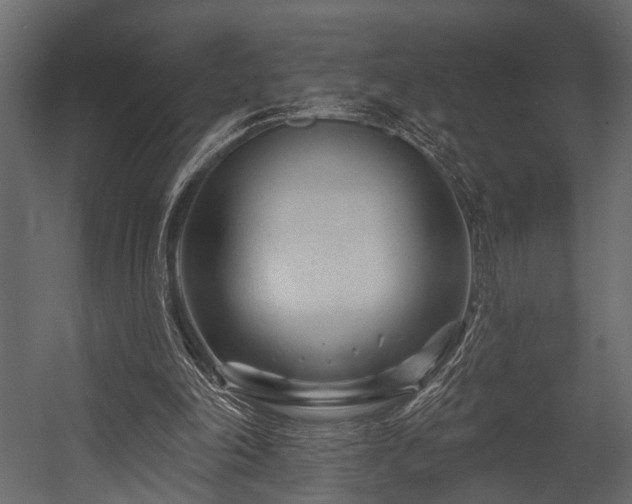 X0000054440198200508011438