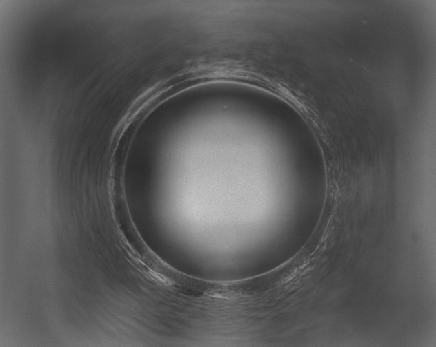 X0000054440199200508011438