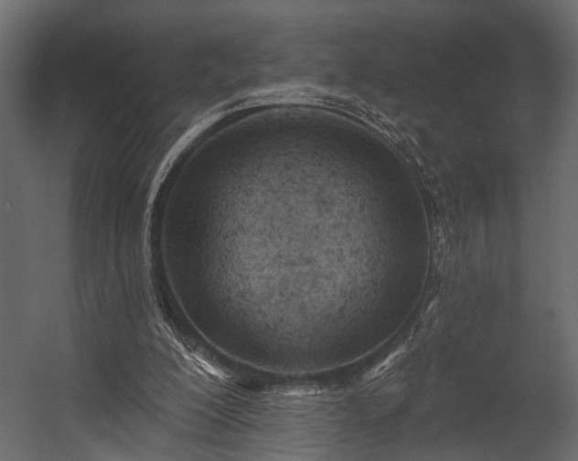 X0000054440200200508011438