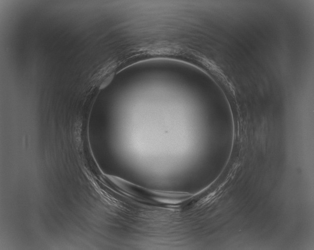 X0000054440201200508011438