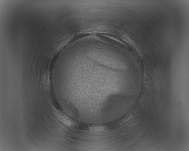 X0000054440202200508011438