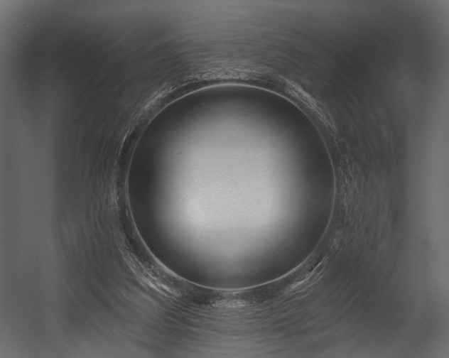 X0000054440203200508011438