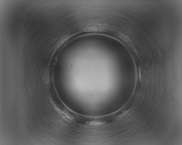 X0000054440204200508011438