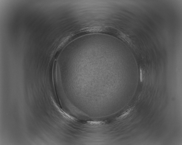 X0000054440205200508011438