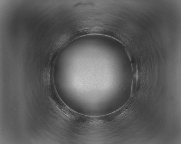 X0000054440206200508011438