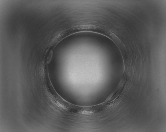 X0000054440207200508011438