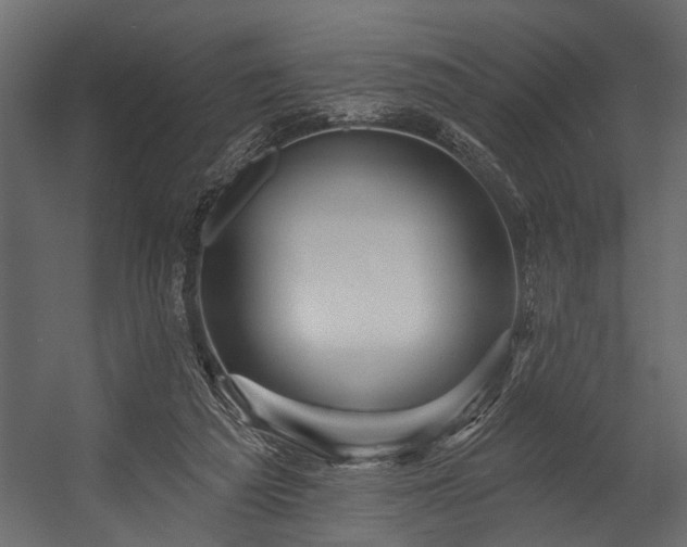 X0000054440209200508011438