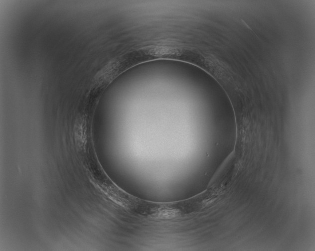 X0000054440210200508011438