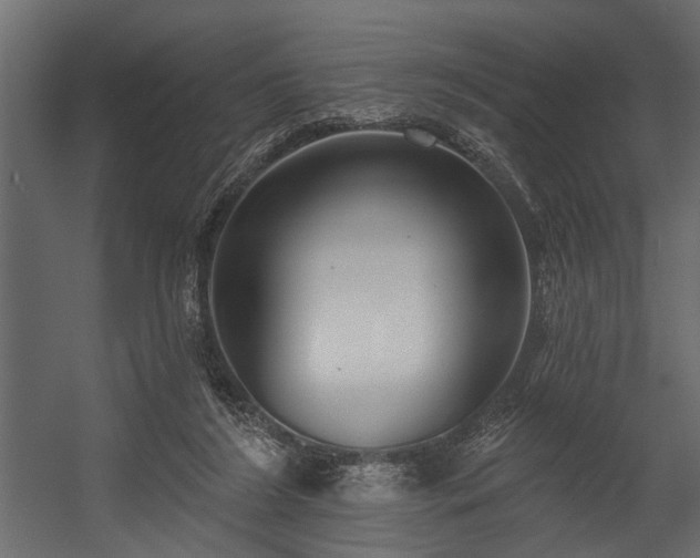 X0000054440212200508011438