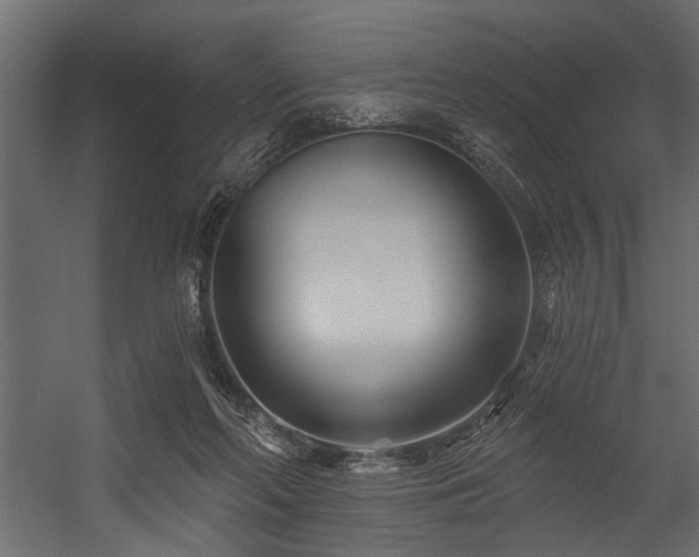 X0000054440214200508011438