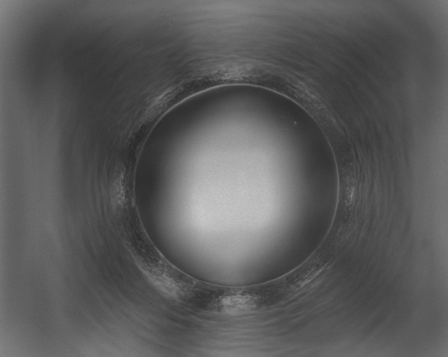 X0000054440216200508011438