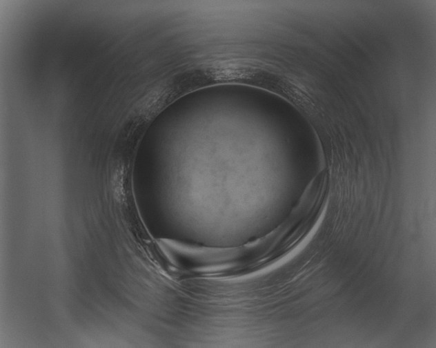 X0000054440219200508011438