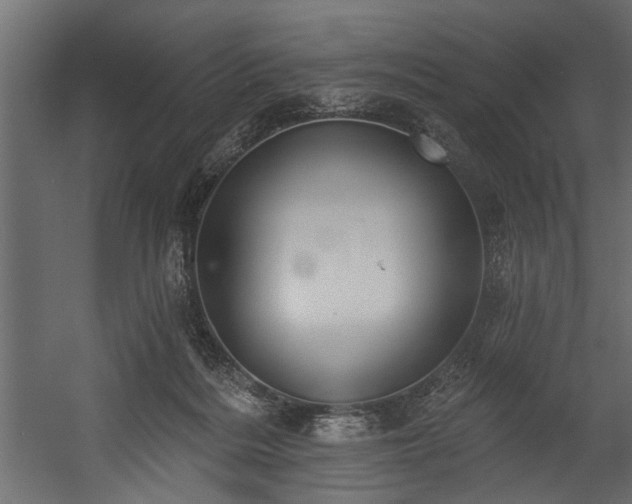 X0000054440220200508011438