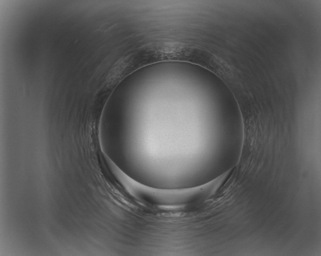 X0000054440225200508011438