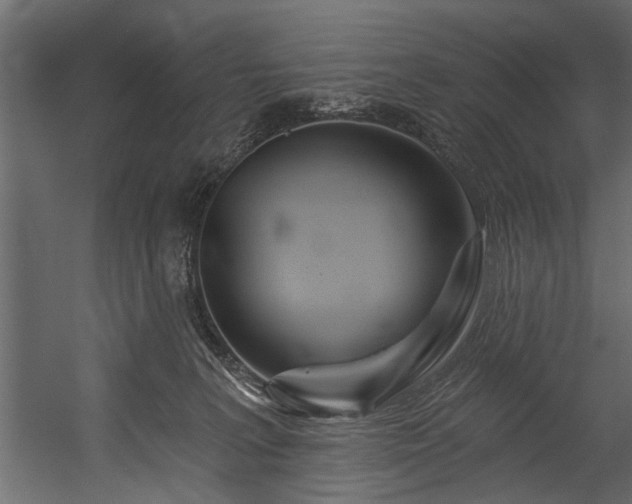 X0000054440227200508011438