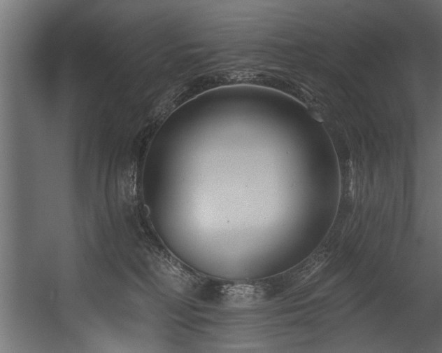 X0000054440230200508011438