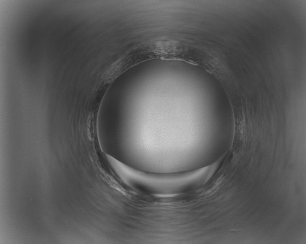 X0000054440233200508011438