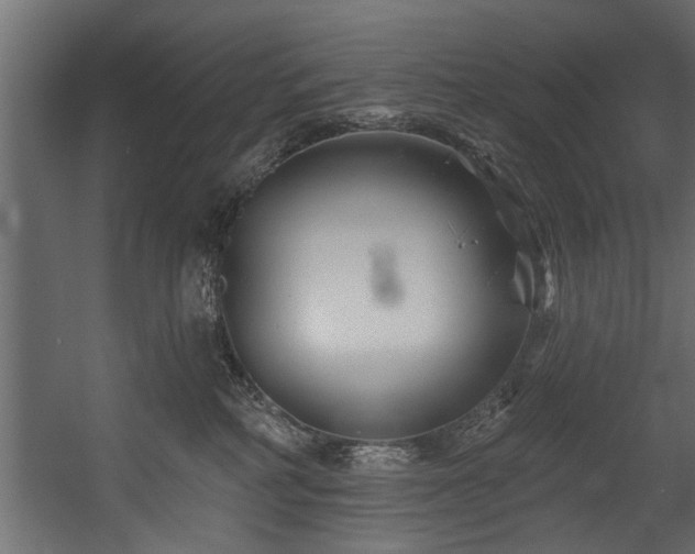 X0000054440234200508011438