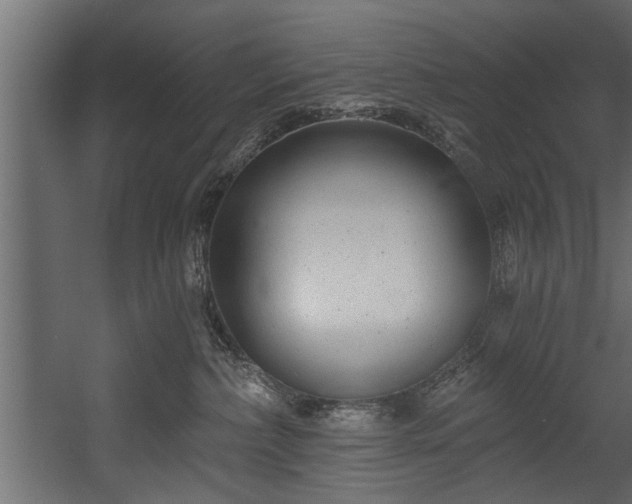 X0000054440236200508011438