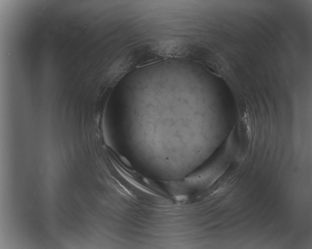 X0000054440239200508011438