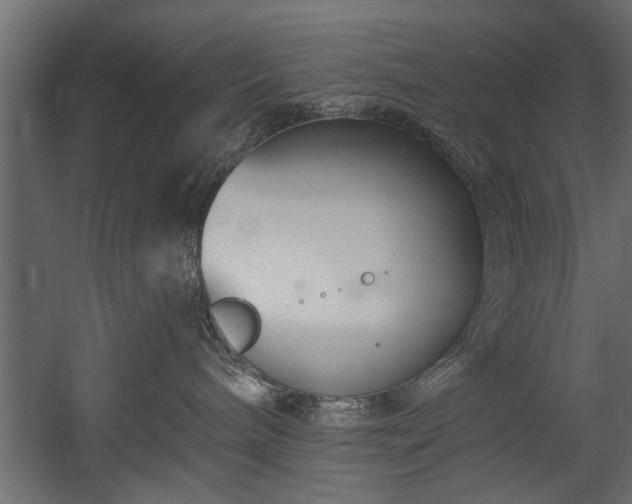 X0000054440240200508011438