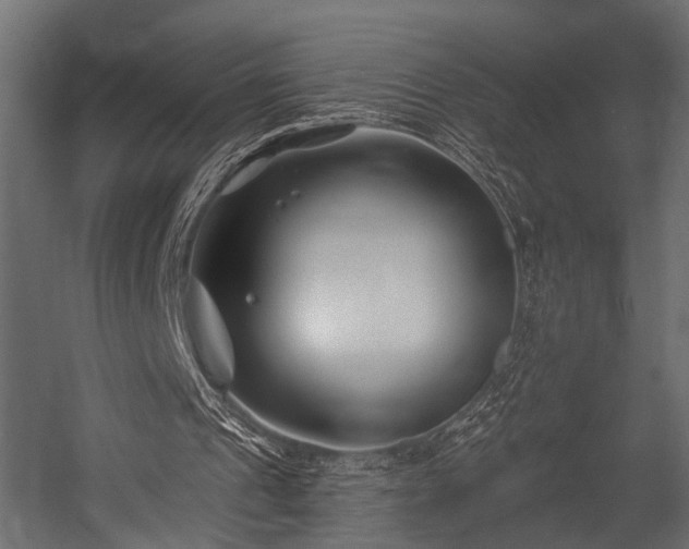 X0000054440241200508011437