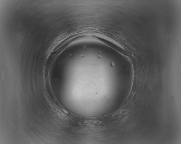 X0000054440242200508011437