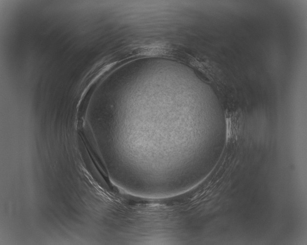 X0000054440243200508011437