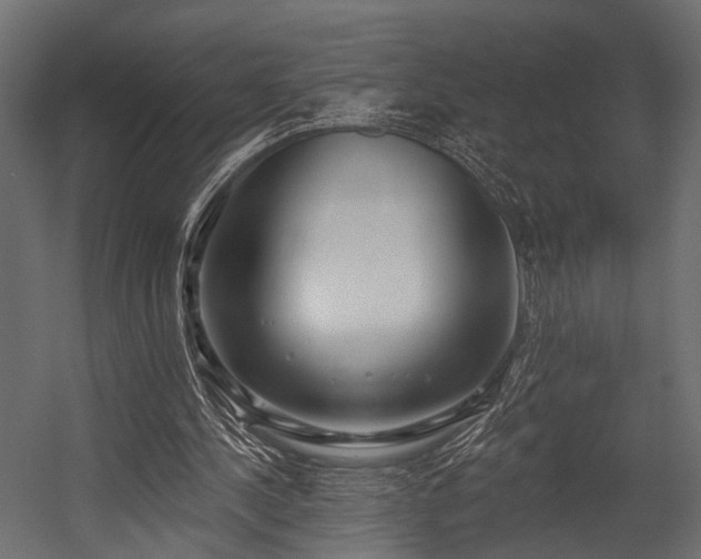 X0000054440244200508011437